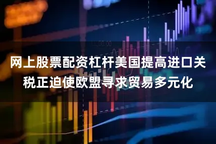 网上股票配资杠杆美国提高进口关税正迫使欧盟寻求贸易多元化