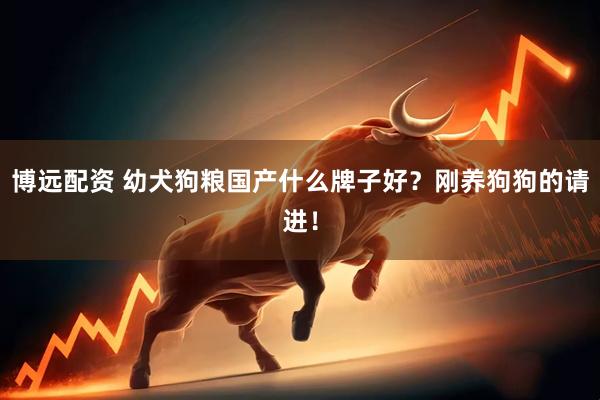 博远配资 幼犬狗粮国产什么牌子好？刚养狗狗的请进！