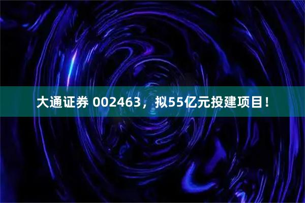 大通证券 002463，拟55亿元投建项目！